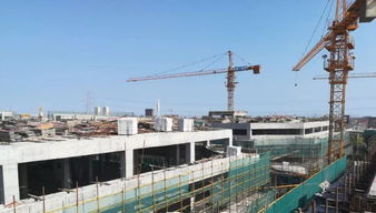 中國電工電器城八月工程進度播報 穩步推進，共建產業新高地